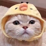 Avatar of Aslam Mirza